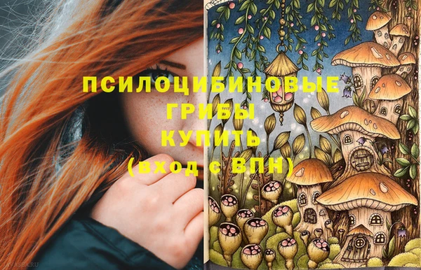 амф Армянск