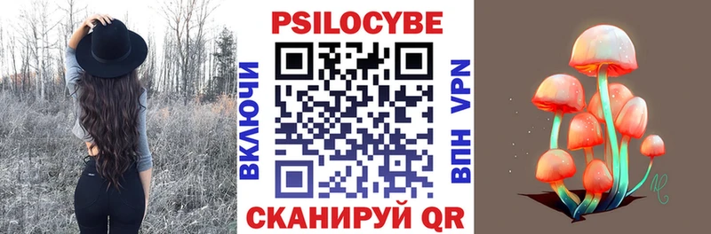Псилоцибиновые грибы мицелий  цены наркотик  Пошехонье 